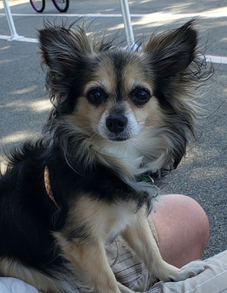 Mini
Riverside Park this summer.