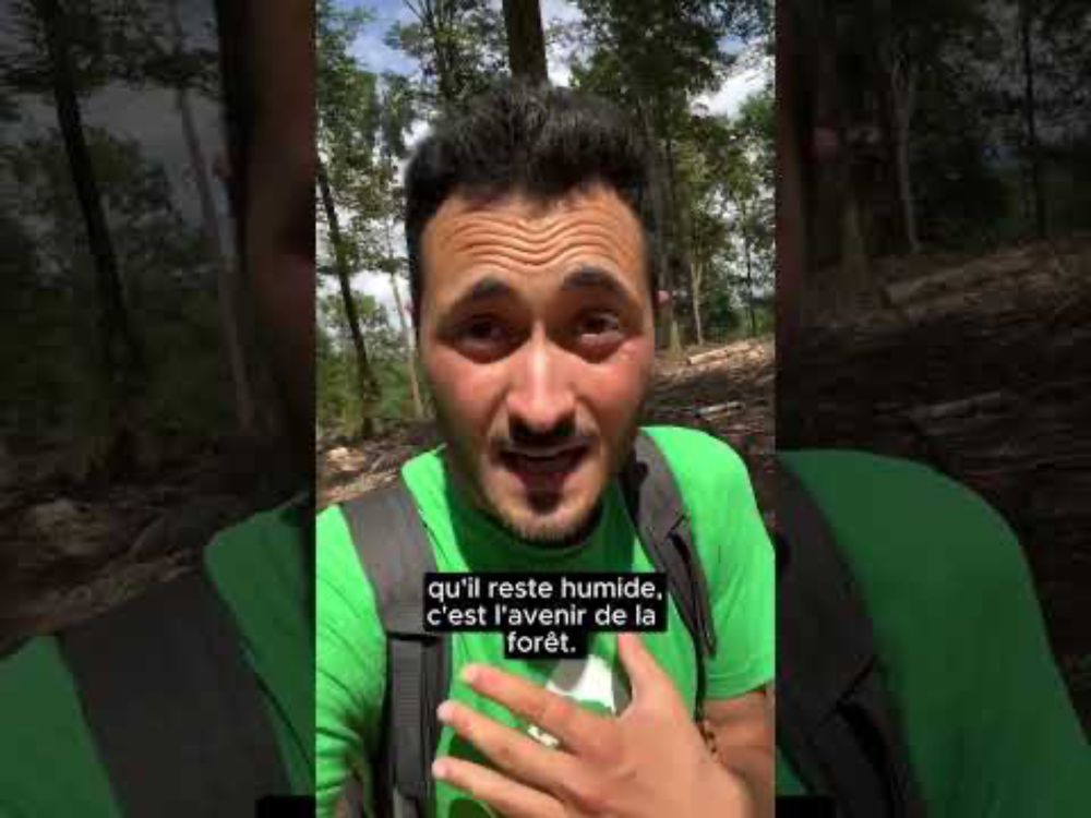 😡🪺 Forêt coupée en Creuse : même la saison de nidification ne les arrête pas
