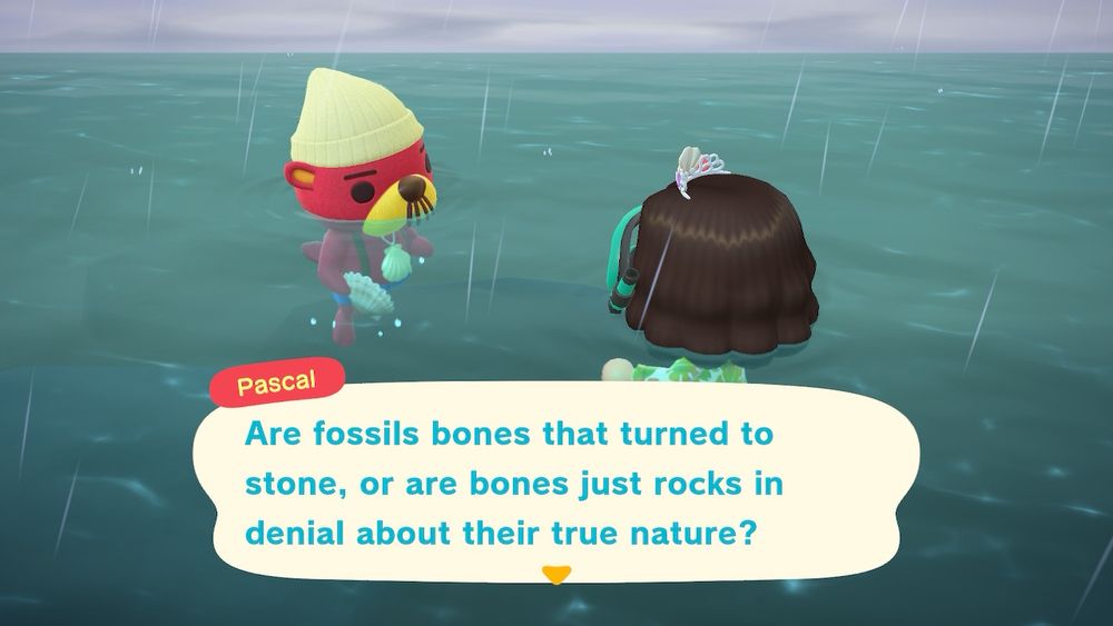 Are fossils bones that turned to stone, or are bones just rocks in denial about their true nature?