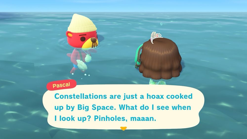 Constellations are just a hoax cooked up by Big Space.  What do I see when I look up?  Pinholes, maaan.