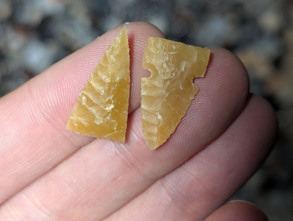 Two small butterscotch colored flintknapped points resting on fingers.