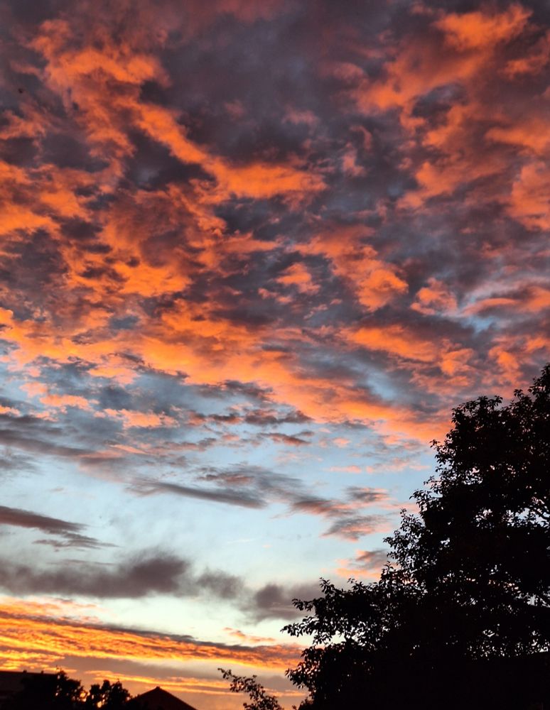 Verquirlte Wolken in orange und schwarz bei aufbrechendem Himmel. Die Silhouette ist ein Baum und ein Dach. Die Farben knallig. Kein Filter. Der Himmel sah so aus.