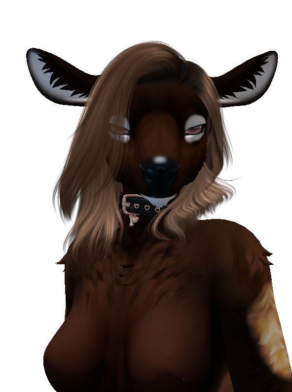 SIRIUS elk