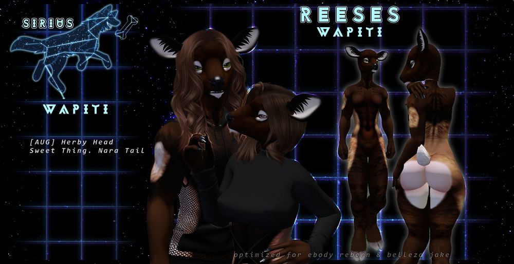 REESES for .SIRIUS. Wapiti
