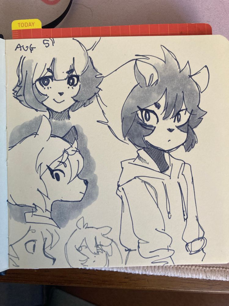 Some sketches based off of the art book from Brand New Animal.