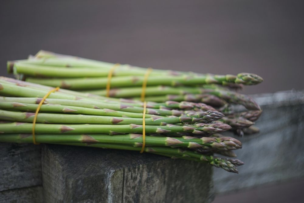 Asparagus on a fence