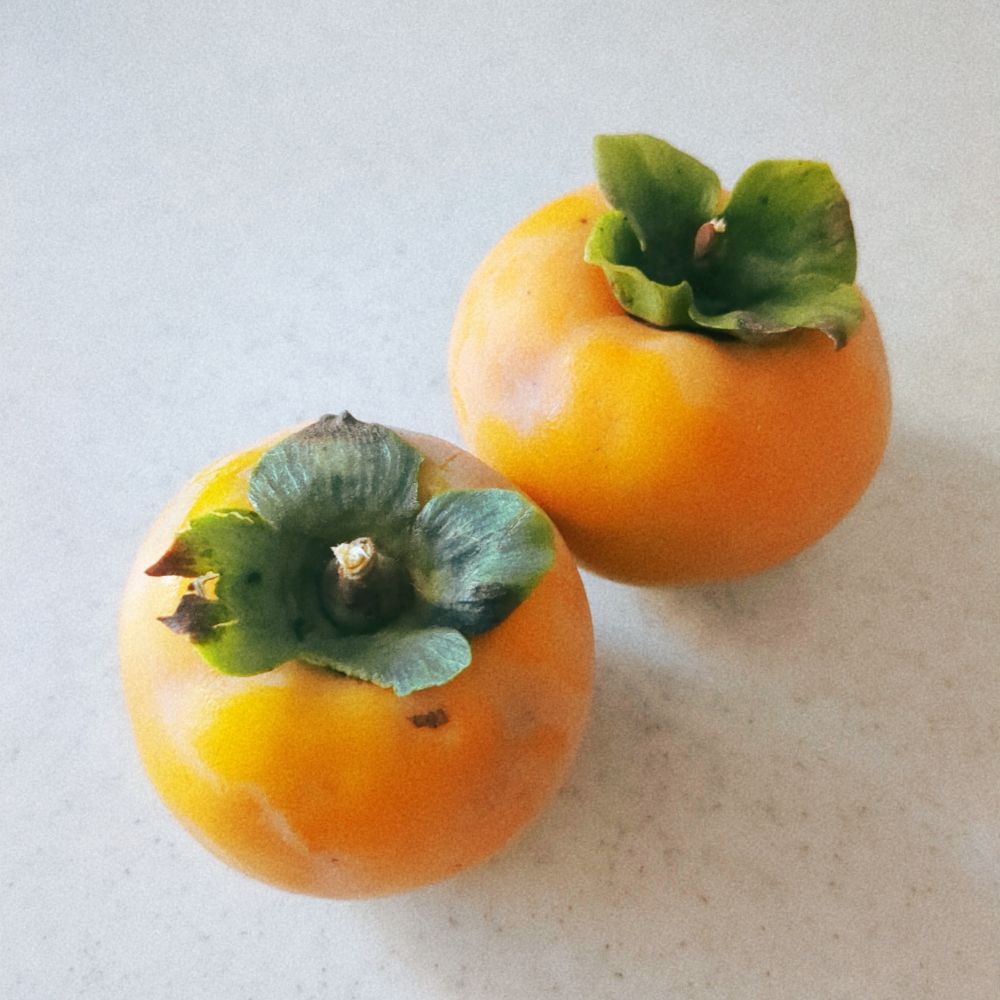 果物の柿が2つ