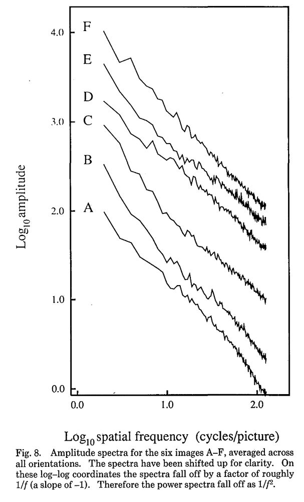 Figure from "Relations between the statistics of natural images and the response properties of cortical cells" by David J. Field, 1987. It demonstrates the roughly 1/f amplitude spectra, averaged over orientations, for 6 natural images.