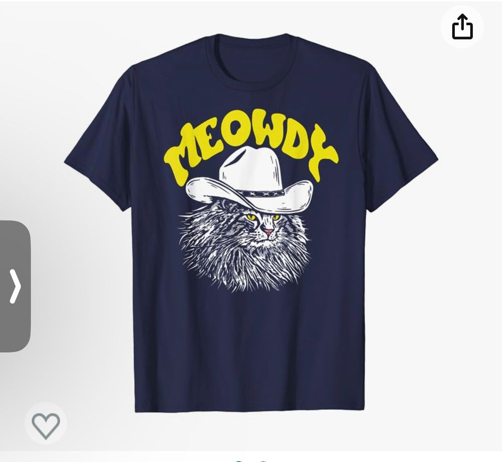 It’s an ad for a T-shirt with a beautifully rendered king-haired cat, wearing a cowboy hat and a caption that says: MEOWDY in a very silly western style 