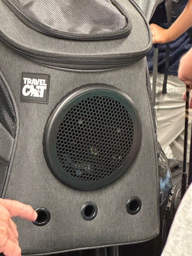 A black cat peers out of the mesh covered window of a backpack designed as a cat carrier