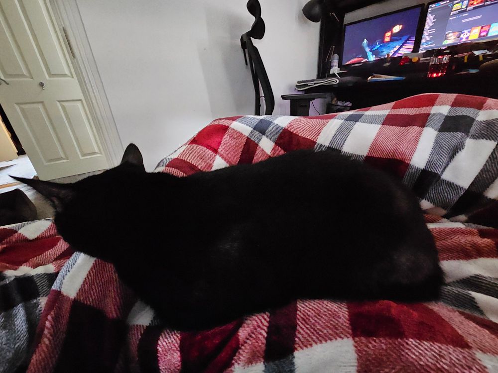 Black cat napping on a red and white plait blanket.