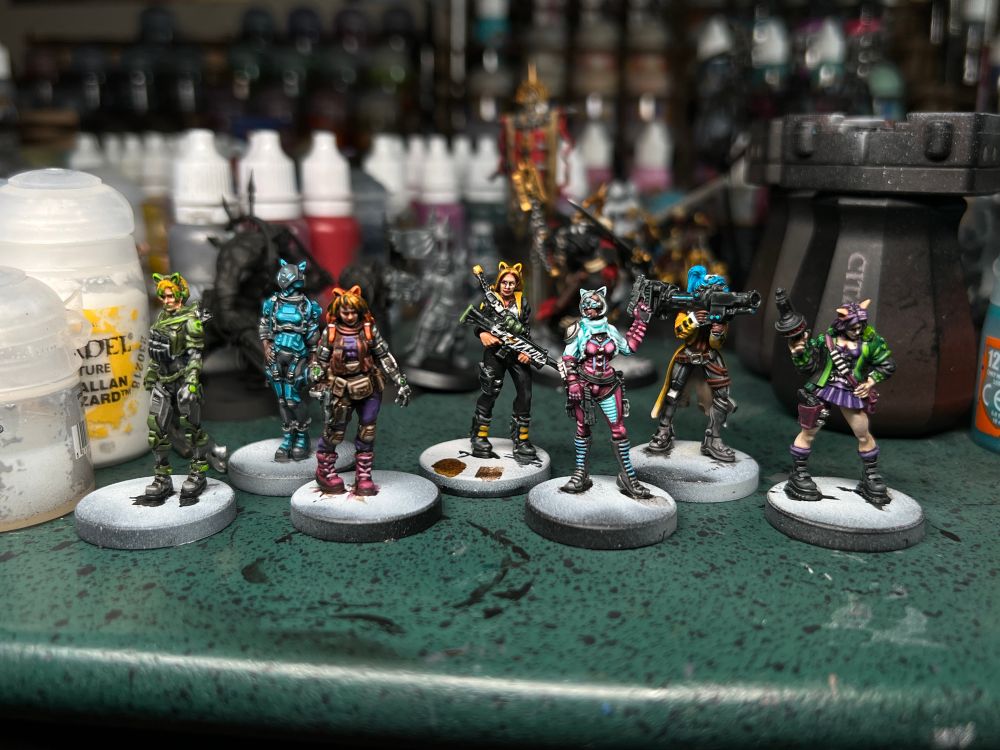 The completed Danger Gal squad for Combat Zone. From left to right: Lynx, Pantera, Doc Mittens, Tigress, Agent in Charge, Bengal, and Mouse. 