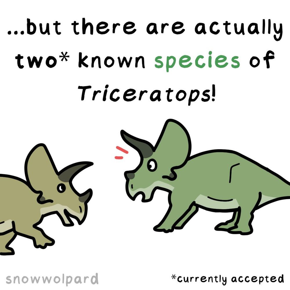 "...but there are actually two* known species of Triceratops!" "*currently accepted" with a drawing of the previous green Triceratops looking surprised at a more yellowish Triceratops walking into frame