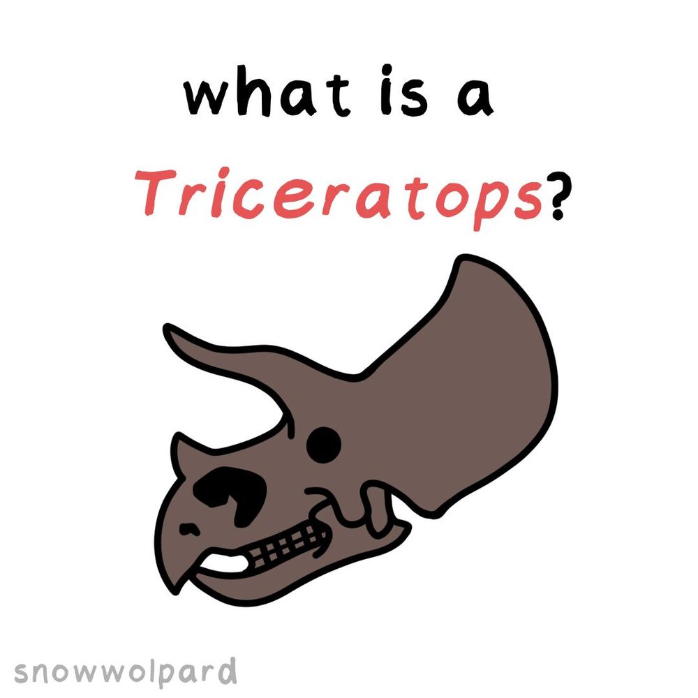 "what is a Triceratops?" with a drawing of a brown Triceratops skull