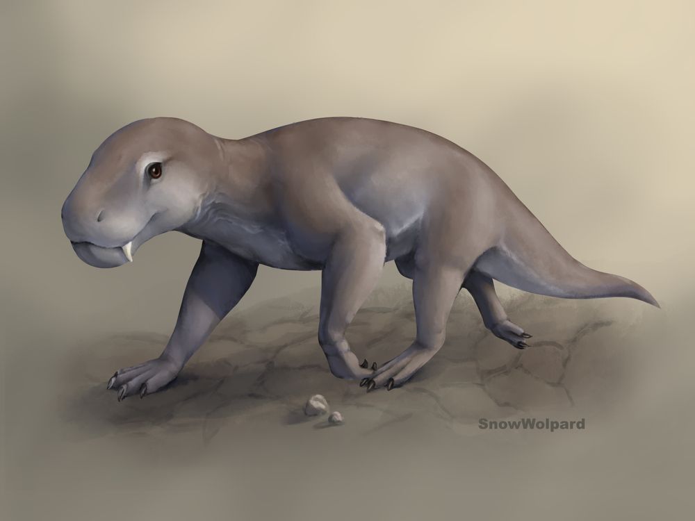 An illustration of a brown gorgonopsid (an ancient carnivorous mammal relative) in a trotting pose on a light brown/tan background.