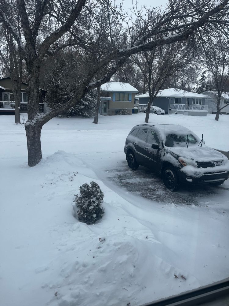 A snowy street and driveway 