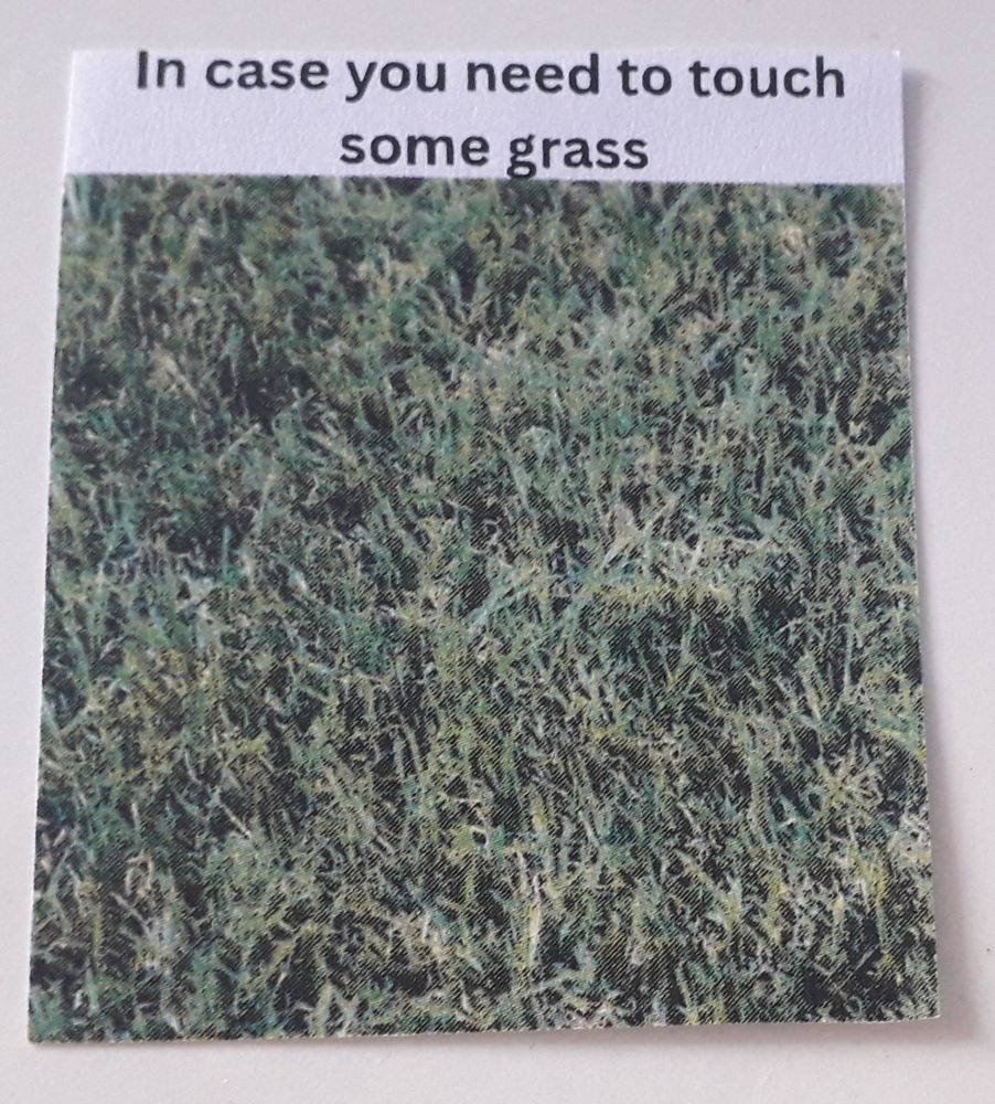 A printed out picture of grass captioned "in case you need to touch some grass" 