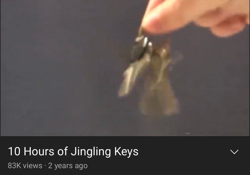 picture of fingers holding keys

10 Hours of Jingling Keys