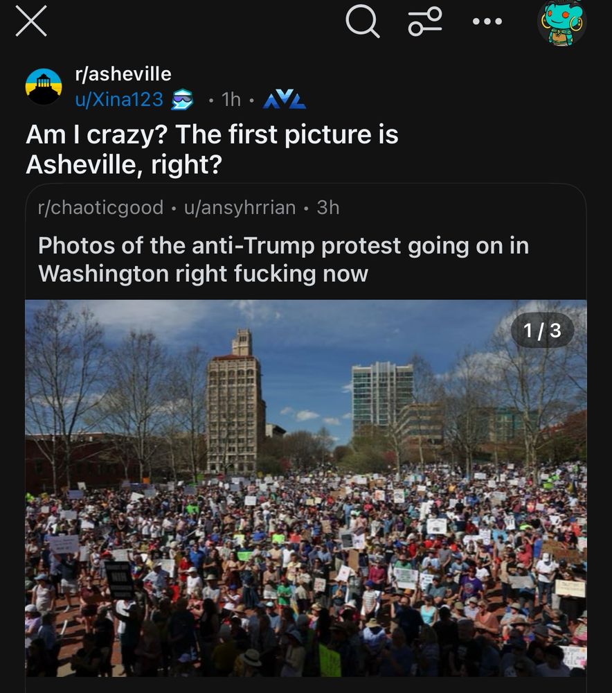 Post from Asheville subreddit says:
Am I crazy? The first picture is Asheville, right?
Post in r/chaoticgood says
Photos of the anti-Trump protest going on in Washington right fucking now

The first photo is a photo of Asheville, North Carolina with the central square completely full of people 