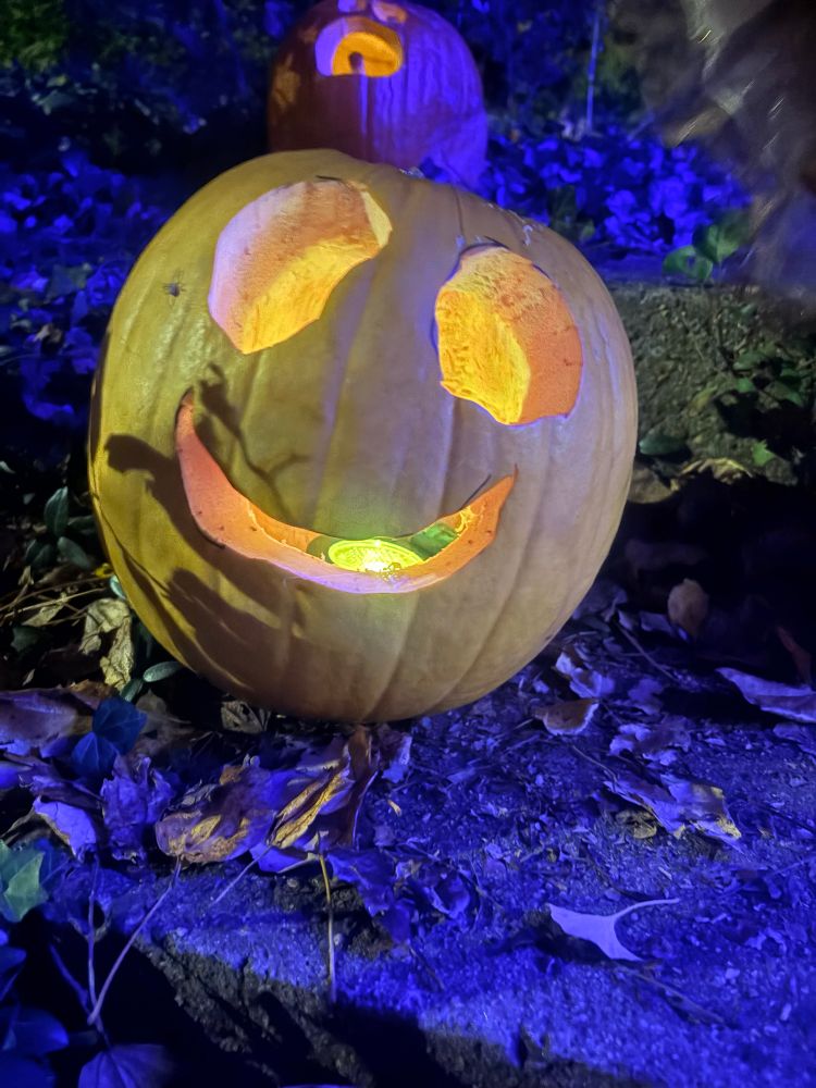A lit jack o lantern with an upsetting grin