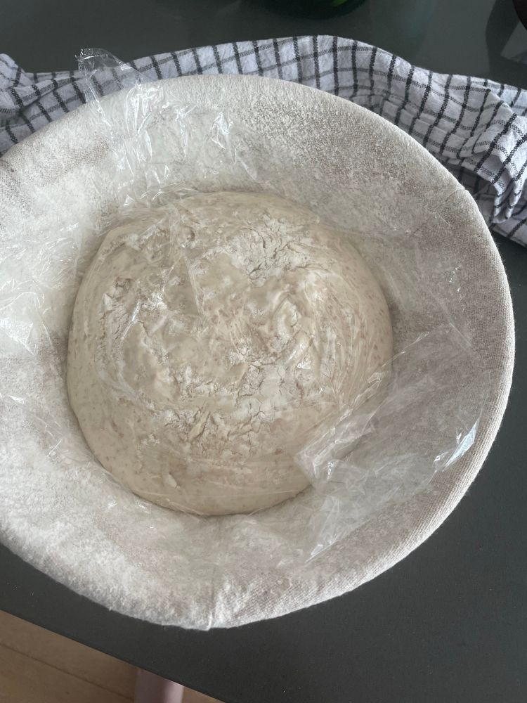 A raw loaf of sourdough bread dough sits in a round banneton. Flour is dusted on top with a layer of plastic wrap topping it all. 