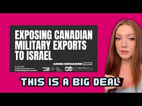 Canada has been allowing hundreds of arms shipments to Israel, new report alleges