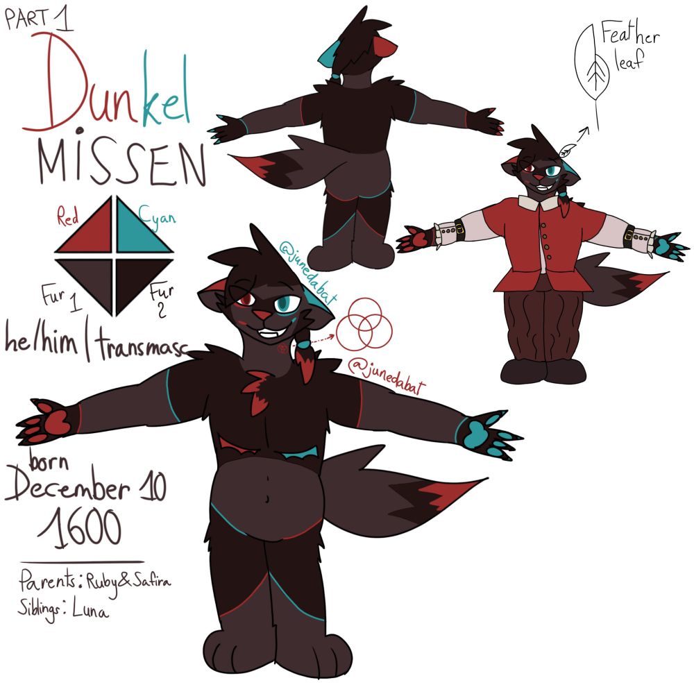 Reference sheet for Dunkel the wolf (he/him)