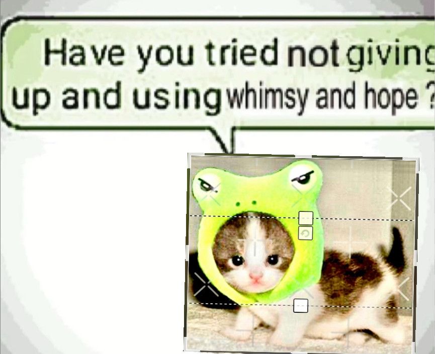 Frog kitten says have you tried not giving up and using whimsy and hope