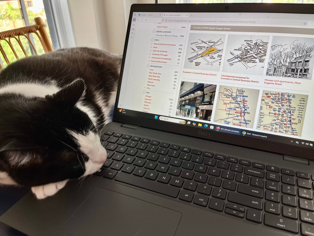 A tuxedo cat naps on a laptop displaying William Brubaker images from UIC