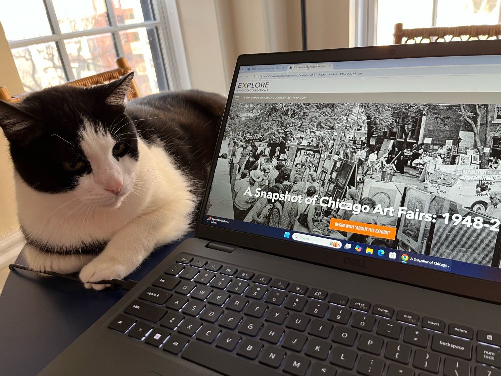 A tuxedo cat enjoys our latest digital exhibit, A Snapshot of Chicago Art Fairs: 1948-2004