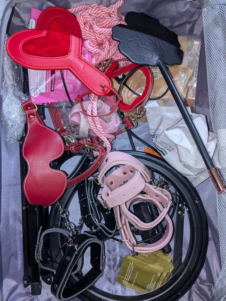 Photograph of Rose's suitcase featuring a blindfold, leather ankle and wrist restraints, rope, heart-shaped paddle, a rose-shaped black crop, various bags of various substances and a ring light.