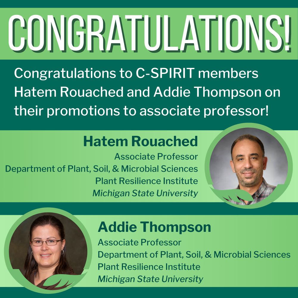 Congratulations!
Congratulations to C-SPIRIT members Hatem Rouached and Addie Thompson on their promotions to associate professor!
Hatem Rouached
Associate Professor
Department of Plant, Soil, & Microbial Sciences
Plant Resilience Institute
Michigan State University
Addie Thompson
Associate Professor
Department of Plant, Soil, & Microbial Sciences
Plant Resilience Institute
Michigan State University