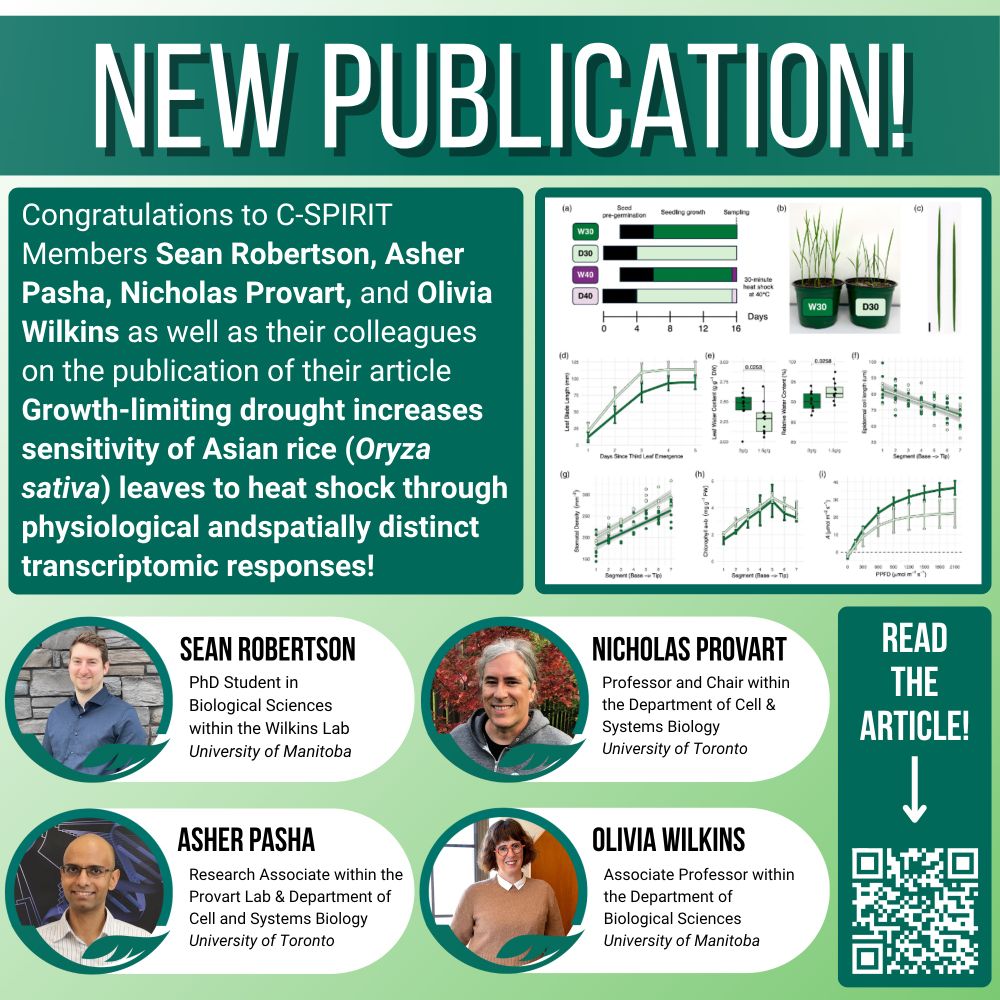 New Publication!
PhD Student in Biological Sciences within the Wilkins Lab
University of Manitoba
Research Associate within the Provart Lab & Department of Cell and Systems Biology
University of Toronto
Read the article!
Sean Robertson
Asher Pasha
Olivia Wilkins
Associate Professor within the Department of Biological Sciences
University of Manitoba
Congratulations to C-SPIRIT Members Sean Robertson, Asher Pasha, Nicholas Provart, and Olivia Wilkins as well as their colleagues on the publication of their article Growth-limiting drought increases sensitivity of Asian rice (Oryza sativa) leaves to heat shock through physiological andspatially distinct transcriptomic responses!
Nicholas Provart
Professor and Chair within the Department of Cell & Systems Biology
University of Toronto