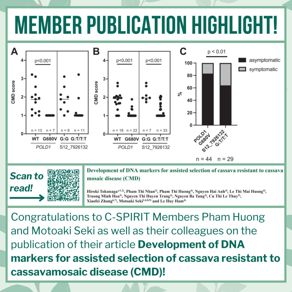 Congratulations to C-SPIRIT Members Pham Huong and Motoaki Seki as well as their colleagues on the publication of their article Development of DNA markers for assisted selection of cassava resistant to cassavamosaic disease (CMD)!

The graphic also shows figures from the article itself as well as a QR code to scan that leads to the article. 