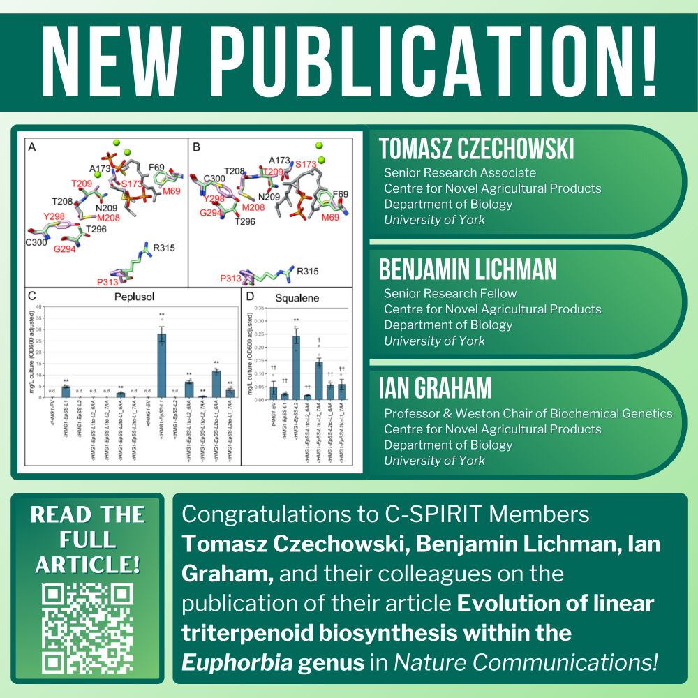 Senior Research Associate
Centre for Novel Agricultural Products
Department of Biology
University of York
Benjamin Lichman
Senior Research Fellow
Centre for Novel Agricultural Products
Department of Biology
University of York
Ian Graham
Professor & Weston Chair of Biochemical Genetics
Centre for Novel Agricultural Products
Department of Biology
University of York
Tomasz Czechowski
New Publication!
Congratulations to C-SPIRIT Members Tomasz Czechowski, Benjamin Lichman, Ian Graham, and their colleagues on the publication of their article Evolution of linear triterpenoid biosynthesis within the Euphorbia genus in Nature Communications!
Read the full article!