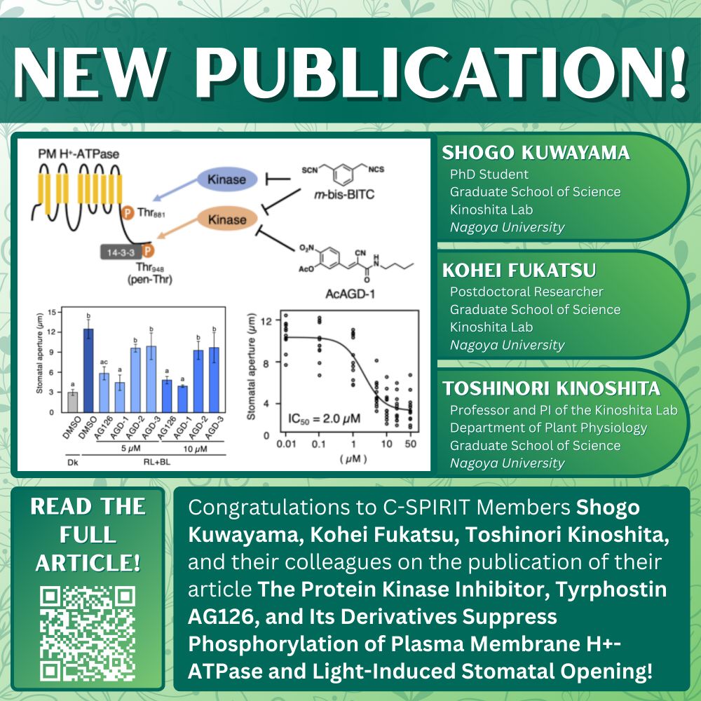 Shogo Kuwayama
PhD Student
Graduate School of Science
Kinoshita Lab
Nagoya University
Kohei Fukatsu
Postdoctoral Researcher
Graduate School of Science
Kinoshita Lab
Nagoya University
Toshinori Kinoshita
Professor and PI of the Kinoshita Lab
Department of Plant Physiology
Graduate School of Science
Nagoya University
New Publication!
Congratulations to C-SPIRIT Members Shogo Kuwayama, Kohei Fukatsu, Toshinori Kinoshita, and their colleagues on the publication of their article The Protein Kinase Inhibitor, Tyrphostin AG126, and Its Derivatives Suppress Phosphorylation of Plasma Membrane H+-ATPase and Light-Induced Stomatal Opening!
Read the full article!