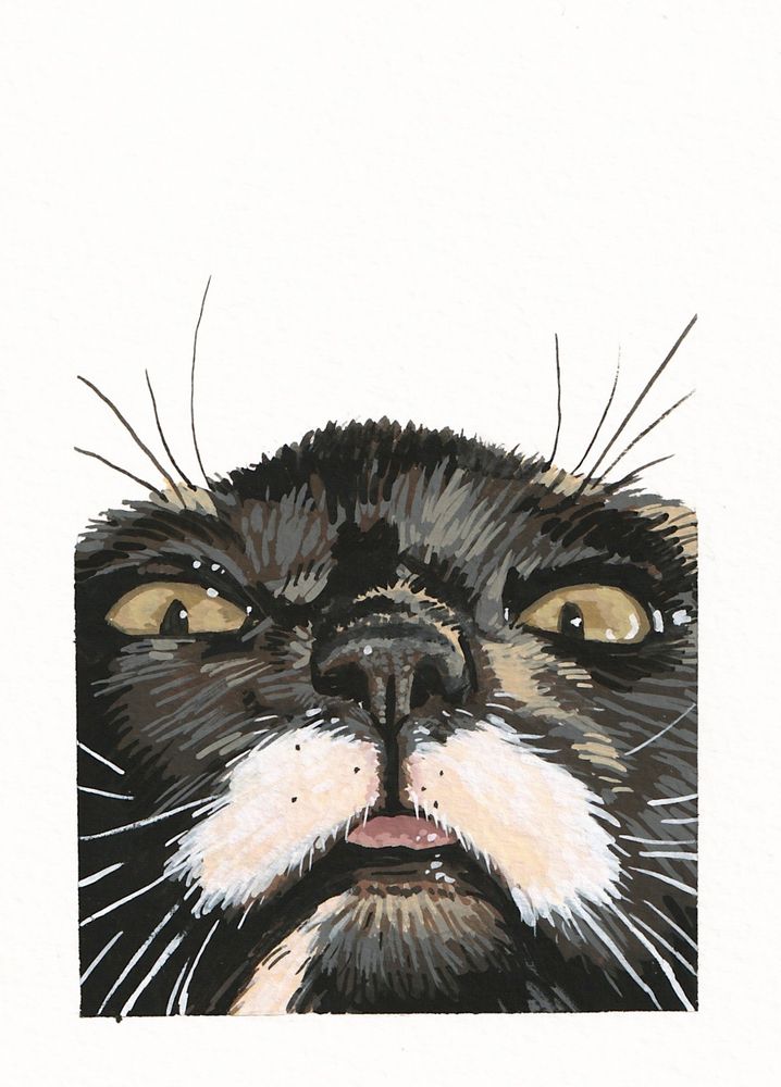 Painting of a tuxedo cat from an unflattering nose up angle