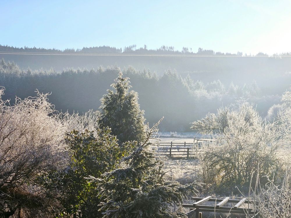 A frost covered landscape in the pacific northwest