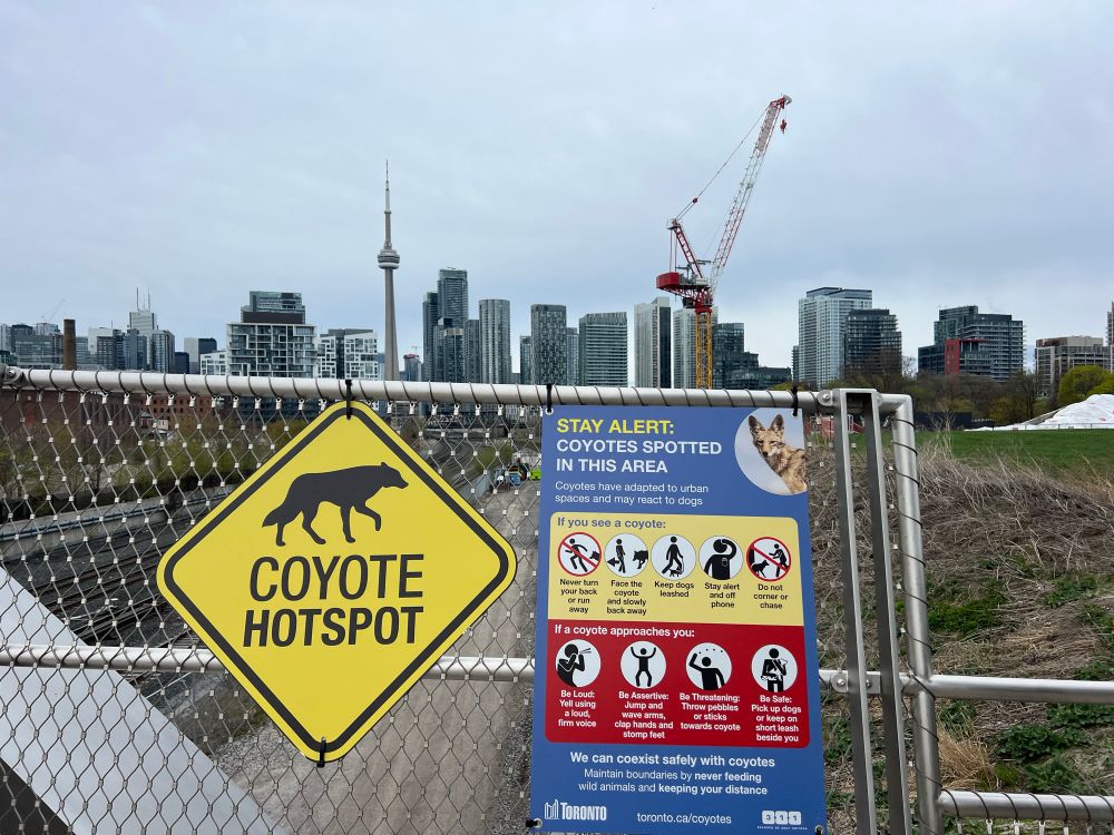 “Coyote Hotspot” sign 