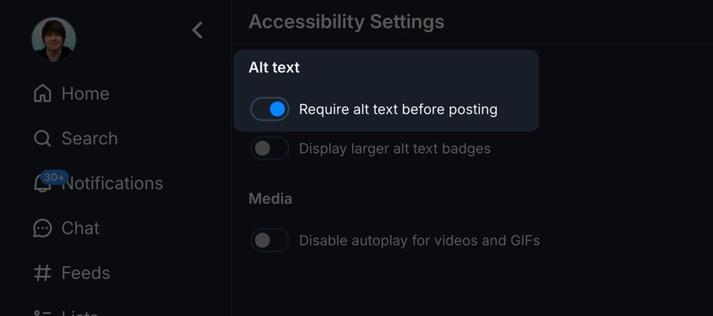 Screenshot of the Bluesky settings page, under "Accessibility Settings". There is a toggle labeled "Require alt text before posting".