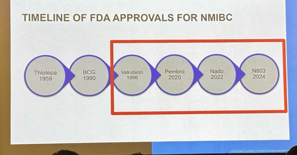 Adjuvant bladder cancer treatments past to present
