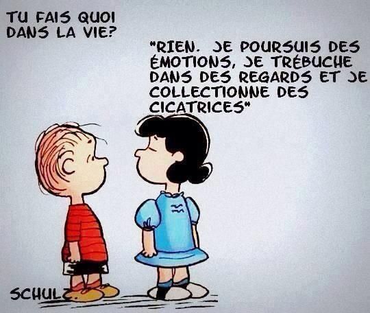 - Tu fais quoi dans la vie ? 
- Rien. Je poursuis des émotions, je trébuche dans des regards et je collectionne des cicatrices.

Dessin de Charles Monroe Schulz