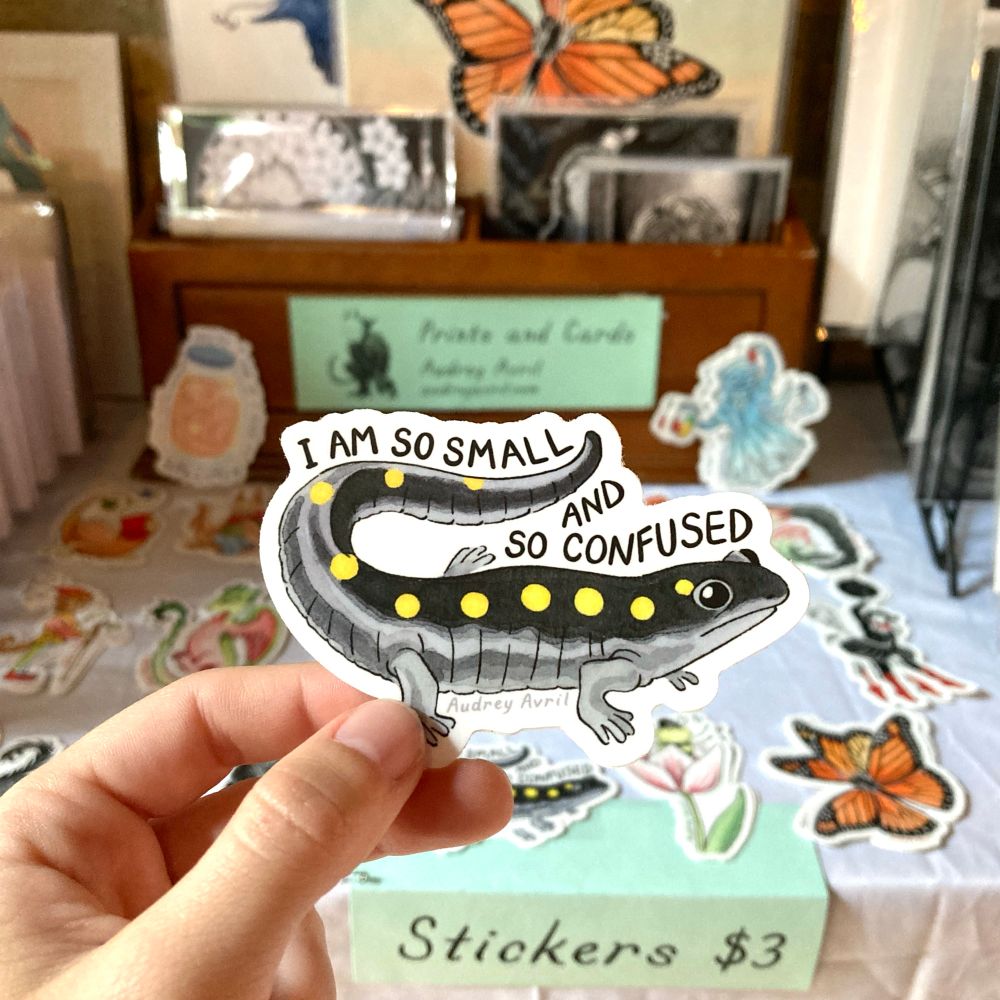 A photograph of a hand holding a sticker, in front of a display of other stickers and prints. The sticker features a spotted salamander with a startled expression and the text: “I am so small and so confused.”
