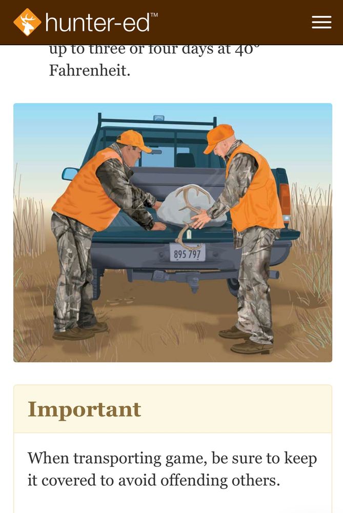Illustration of two white men in blaze orange and camo handling a cheese cloth wrapped body in the bed of a pickup. With the words: “important: when transporting game, be sure to keep it covered to avoid offending others”