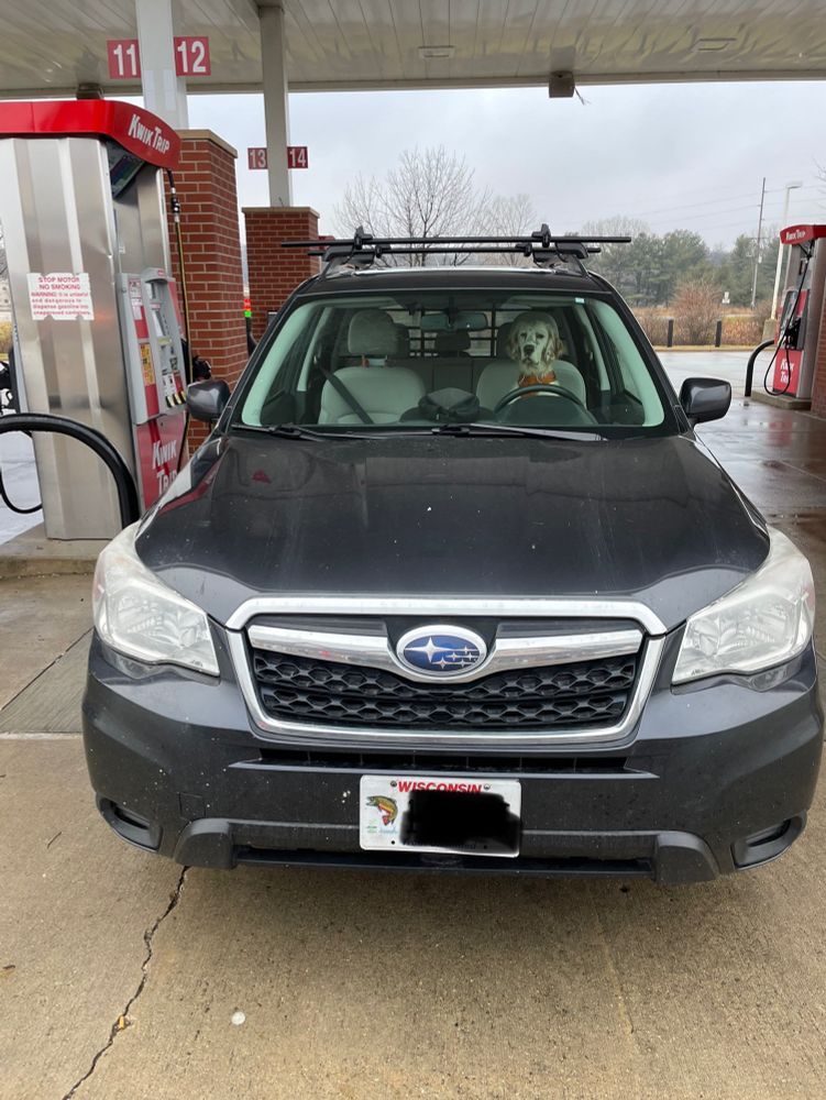 Subaru from afar. Dog in front seat.
