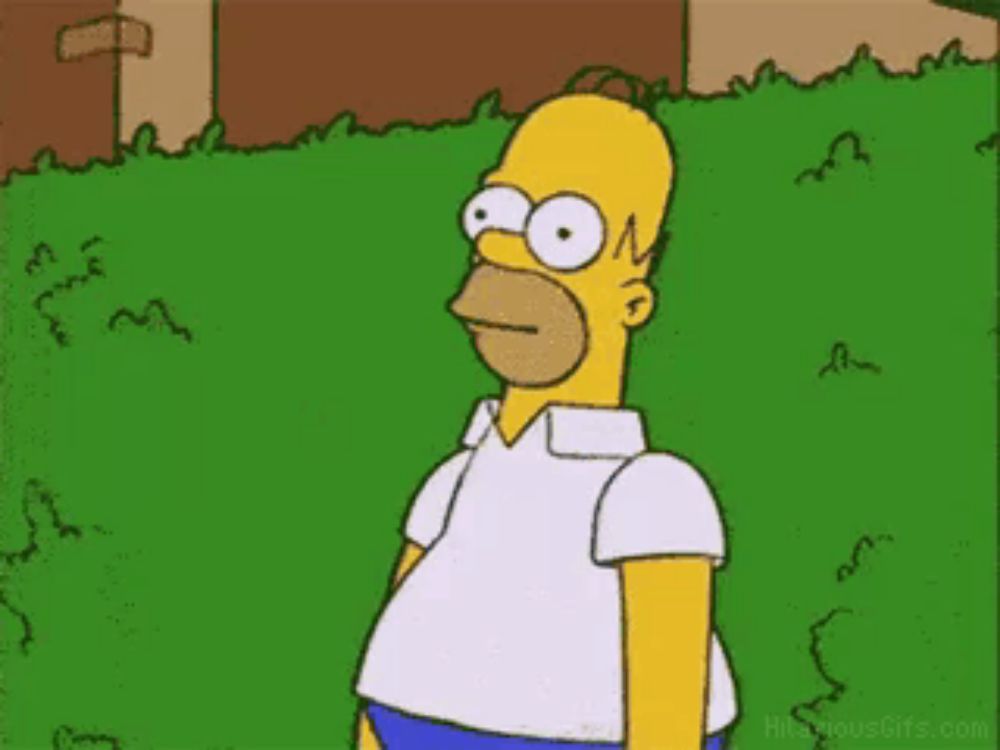 Simpsons Homer Simpson GIF