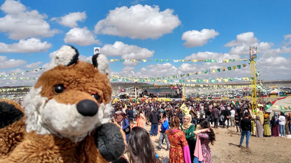 An adorable fluffy fox plushie at the back of the crowd.