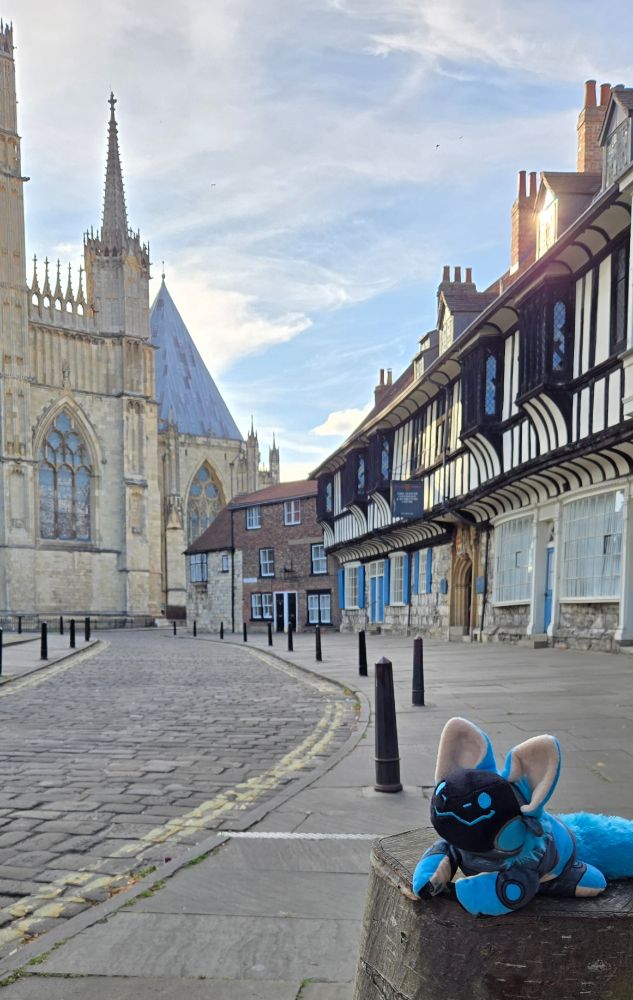 A smiling blue protobean is sitting on a tree stump in the right corner. Behind him, there is an empty old fashioned English street leading up to York Minster, an ornate cathedral made of light grey stone.  On the upper right above the protobean, there are old style English buildings with white walls and wooden beams.