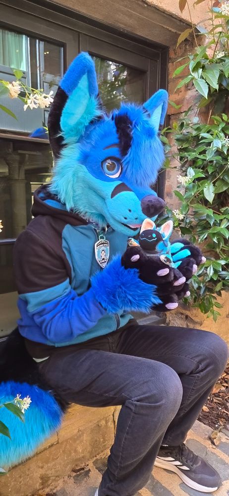A blue and black fox fursuiter is seated on the stone sill of a ground-floor window. He is wearing a black and turquoise hoodie, tight black jeans, and black and white sneakers. Around his neck is a badge that reads "emotional support fursuiter, please pet." In his furry black and blue paws, he is holding a smiling blue protobean. The building is tan stone brick, and there is a bit of leafy foliage and flowers on both sides of him.
