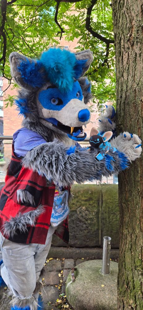 A grey and blue coyote fursuiter is leaning against a tree with a smiling blue protobean perched on their arm. Their clothing, a red plaid vest and grey jeans, are torn with fluffy grey fur poking out of the holes. They have a blue Mohawk and one gold tooth.
